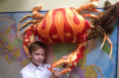 Краб Гигант оранжевый 100 см, игрушка мягкая — АБВГДЕЙКА